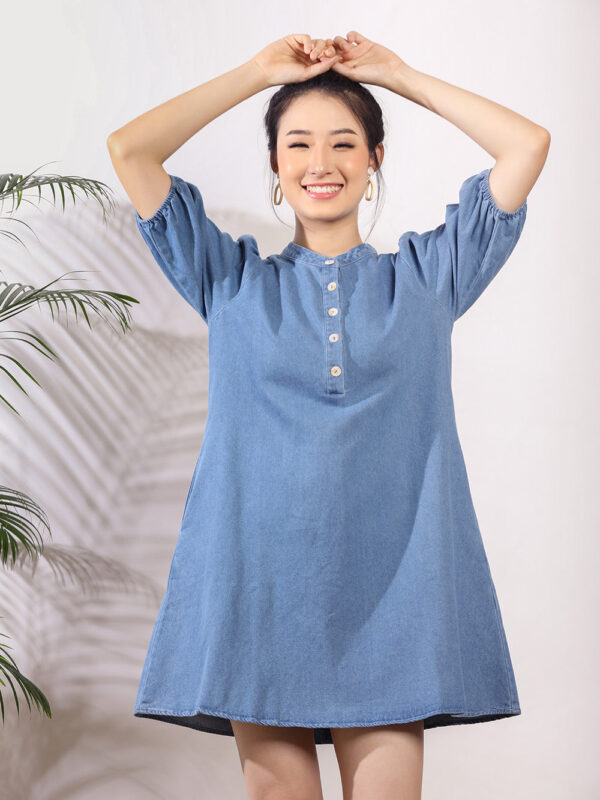 Kellan Denim Dress in Light Wash