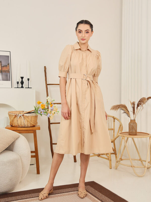 Clarissa Belted Shirt Dress