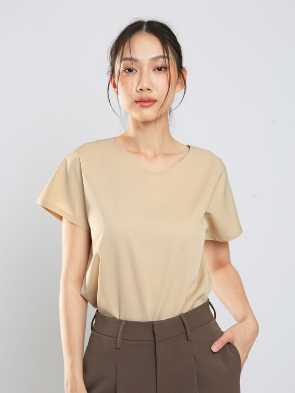 Danna V-Neck Top in Apricot